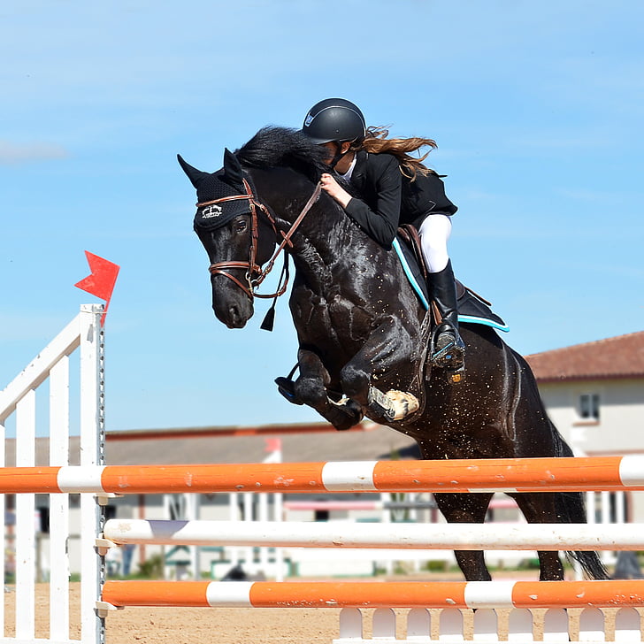 Horse Riding Techniques: Enhancing Performance and Safety with Cavaletti