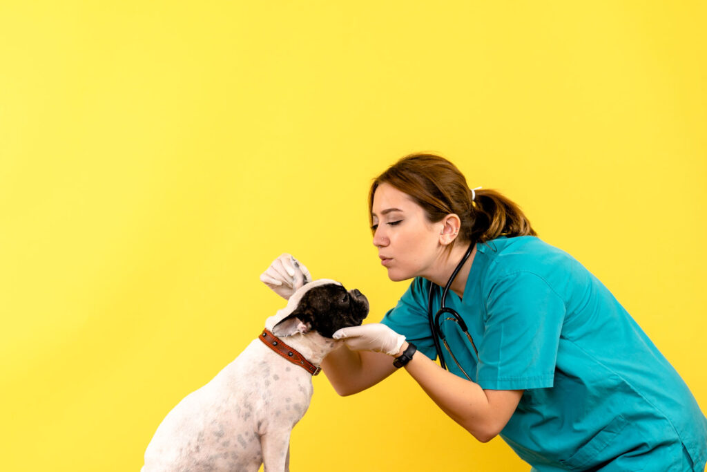 How General Veterinary Care Supports A Longer, Healthier Life For Pets