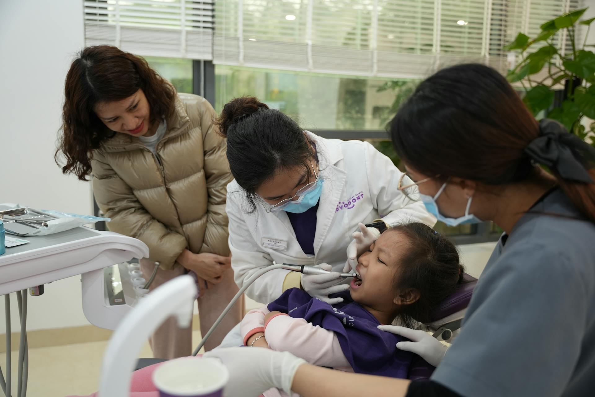 How Family Dentists Care for Patients of All Ages