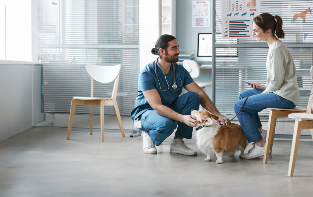 Preventive Care Services Every Pet Should Receive