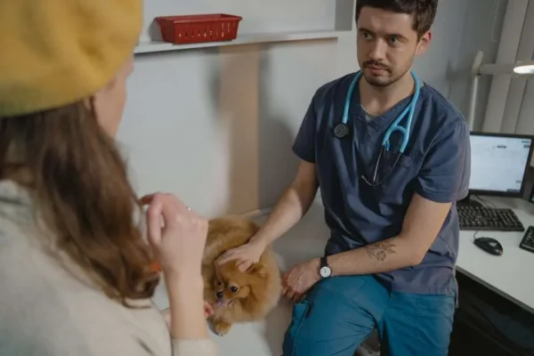 Why Annual Exams Are A Cornerstone Of Veterinary Medicine