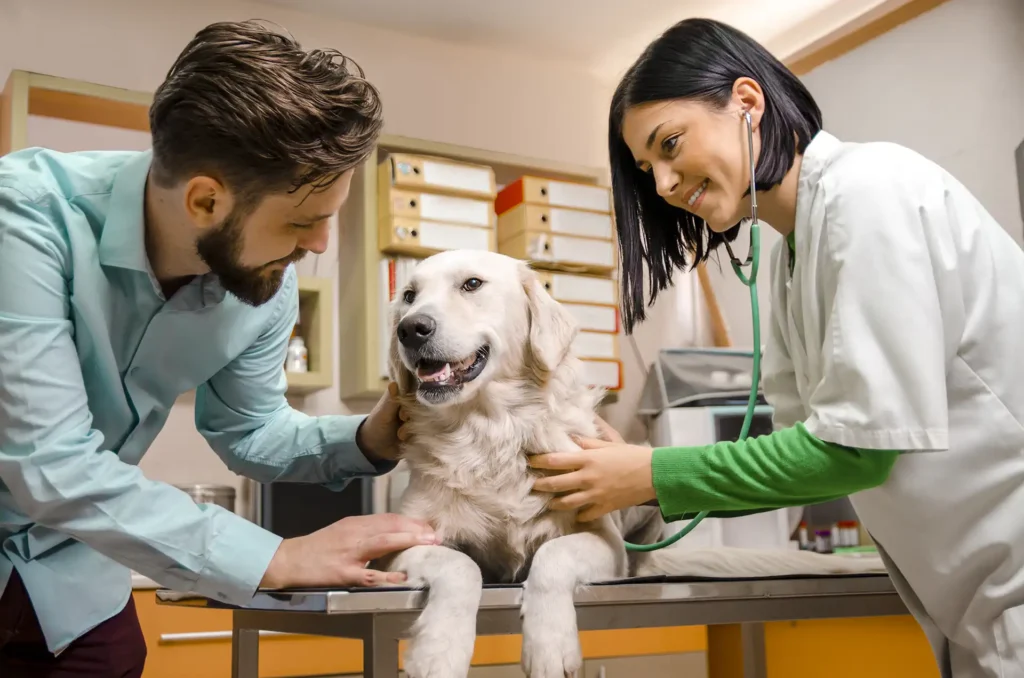 The Role Of Animal Hospitals In Early Disease Detection