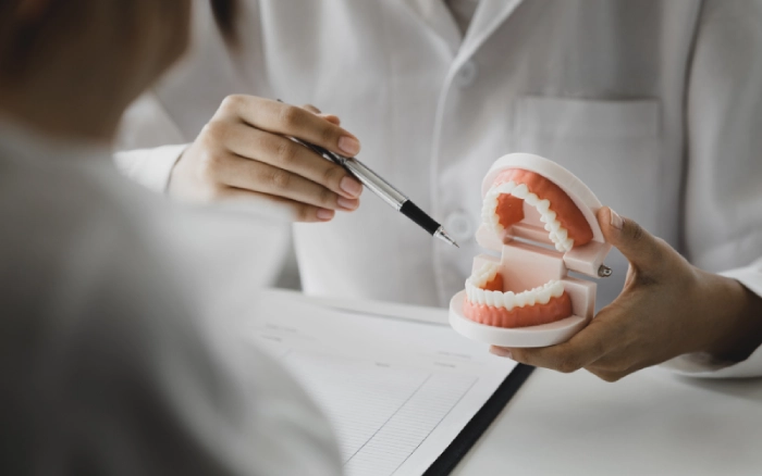 Why Implant Dentistry Requires Strong Bone Support