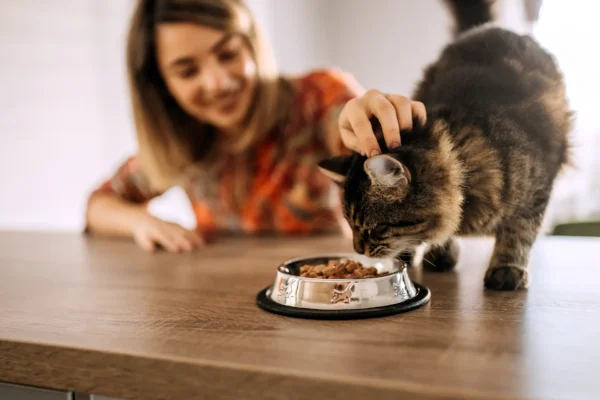 How Vet Clinics Provide Tailored Nutrition And Weight Management Plans