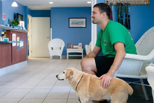 How Veterinary Clinics Train Staff For Emergency Preparedness