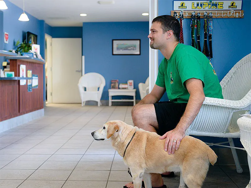 How Veterinary Clinics Train Staff For Emergency Preparedness