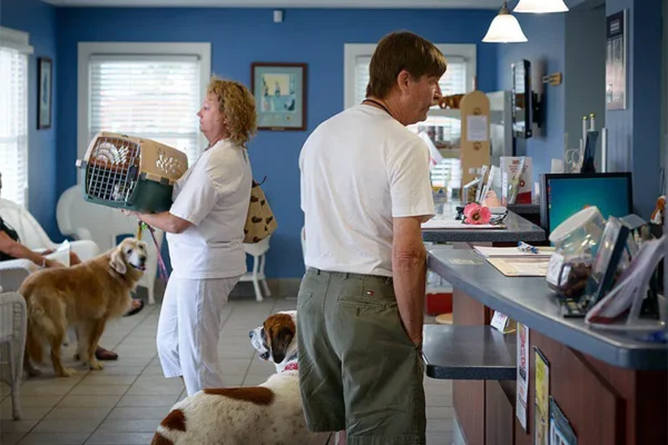 Choosing The Right Veterinary Clinic For Your Pet’s Needs