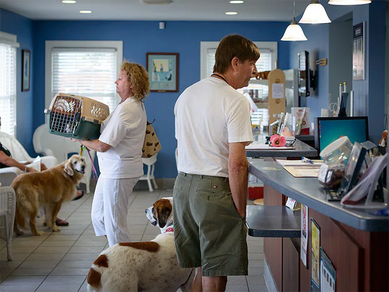 Choosing The Right Veterinary Clinic For Your Pet’s Needs