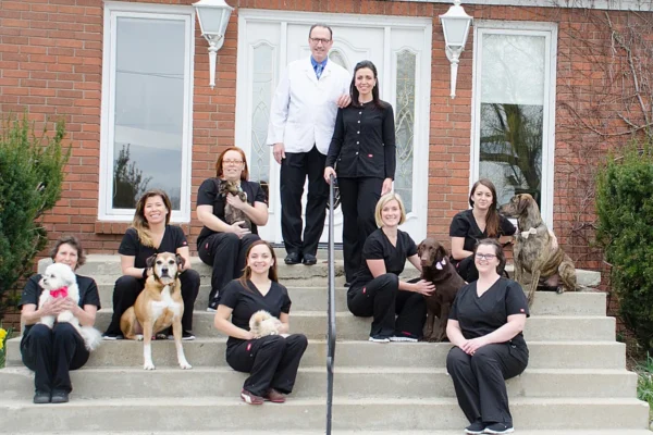 4 Ways Veterinary Hospitals Collaborate With Specialists To Support Your Pet