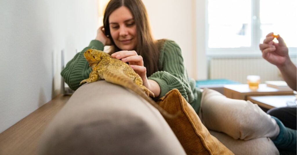 Why Exotic Pet Owners Rely On Specialized Animal Hospitals