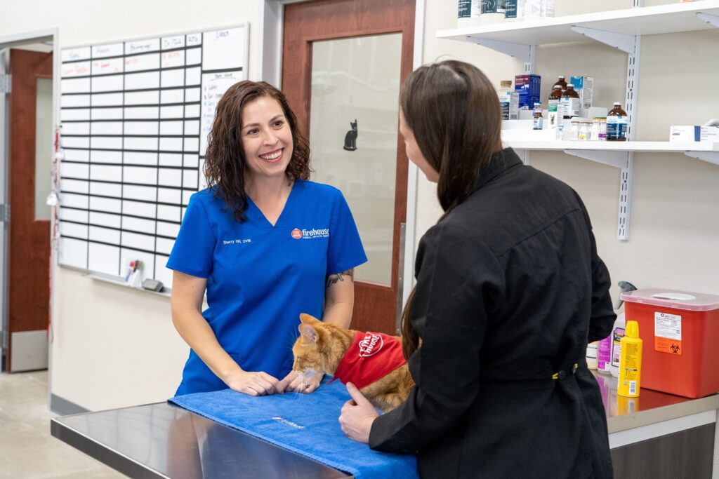 Why Vet Clinics Are Offering Expanded Hours And Emergency Care