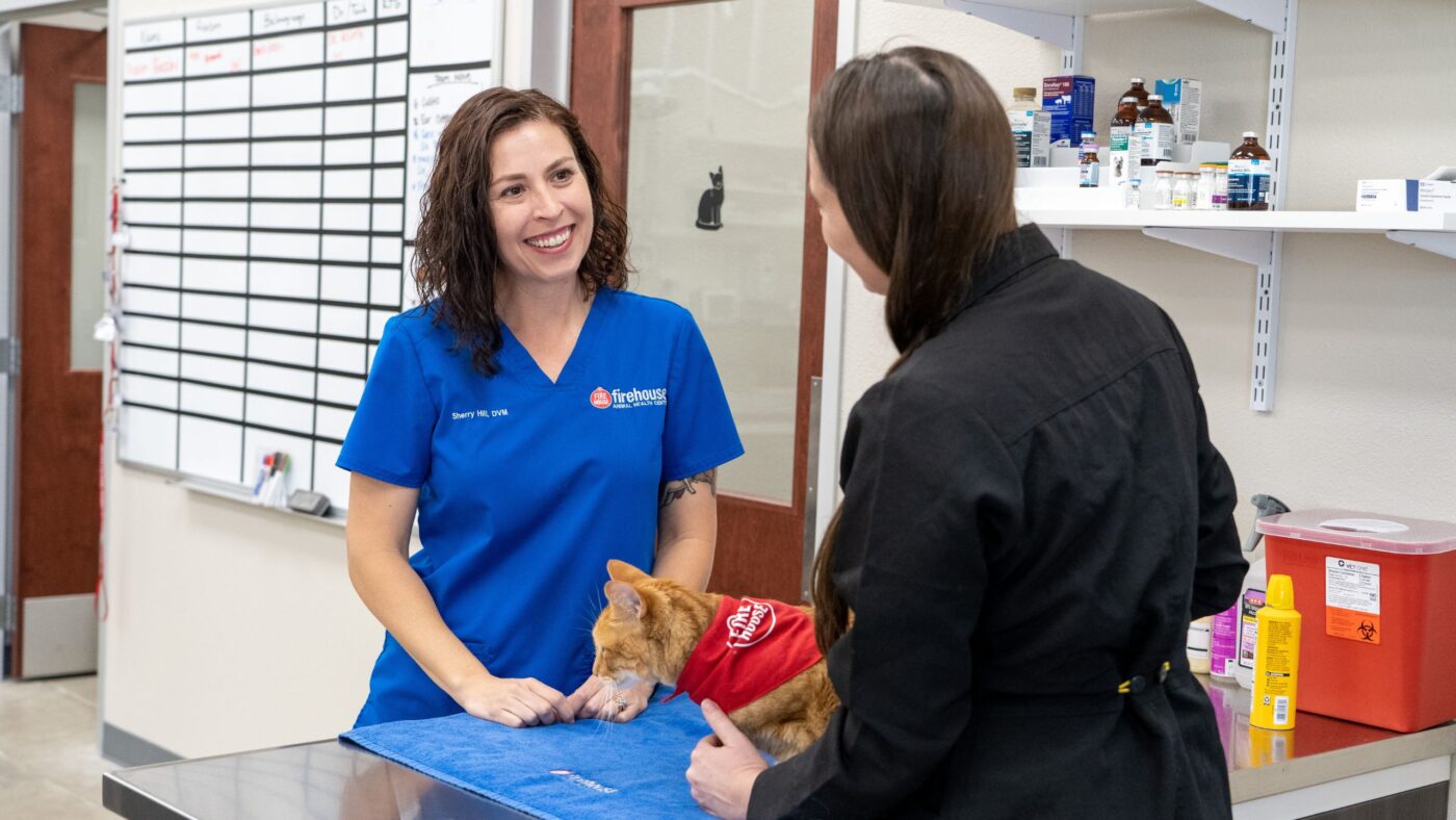 Why Vet Clinics Are Offering Expanded Hours And Emergency Care