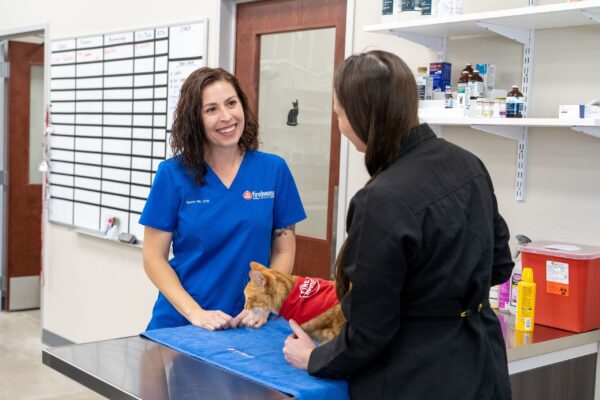 Why Vet Clinics Are Offering Expanded Hours And Emergency Care