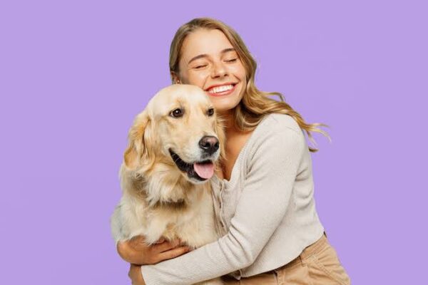 5 Common Misconceptions About Animal Hospitals Debunked