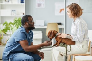 Animal Hospitals